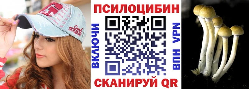 Галлюциногенные грибы Psilocybine cubensis  закладки  Галич 